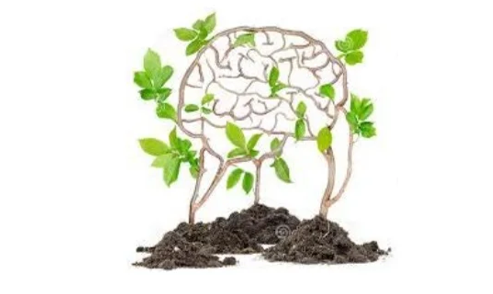 Do-you-belive-you-can-improve-1