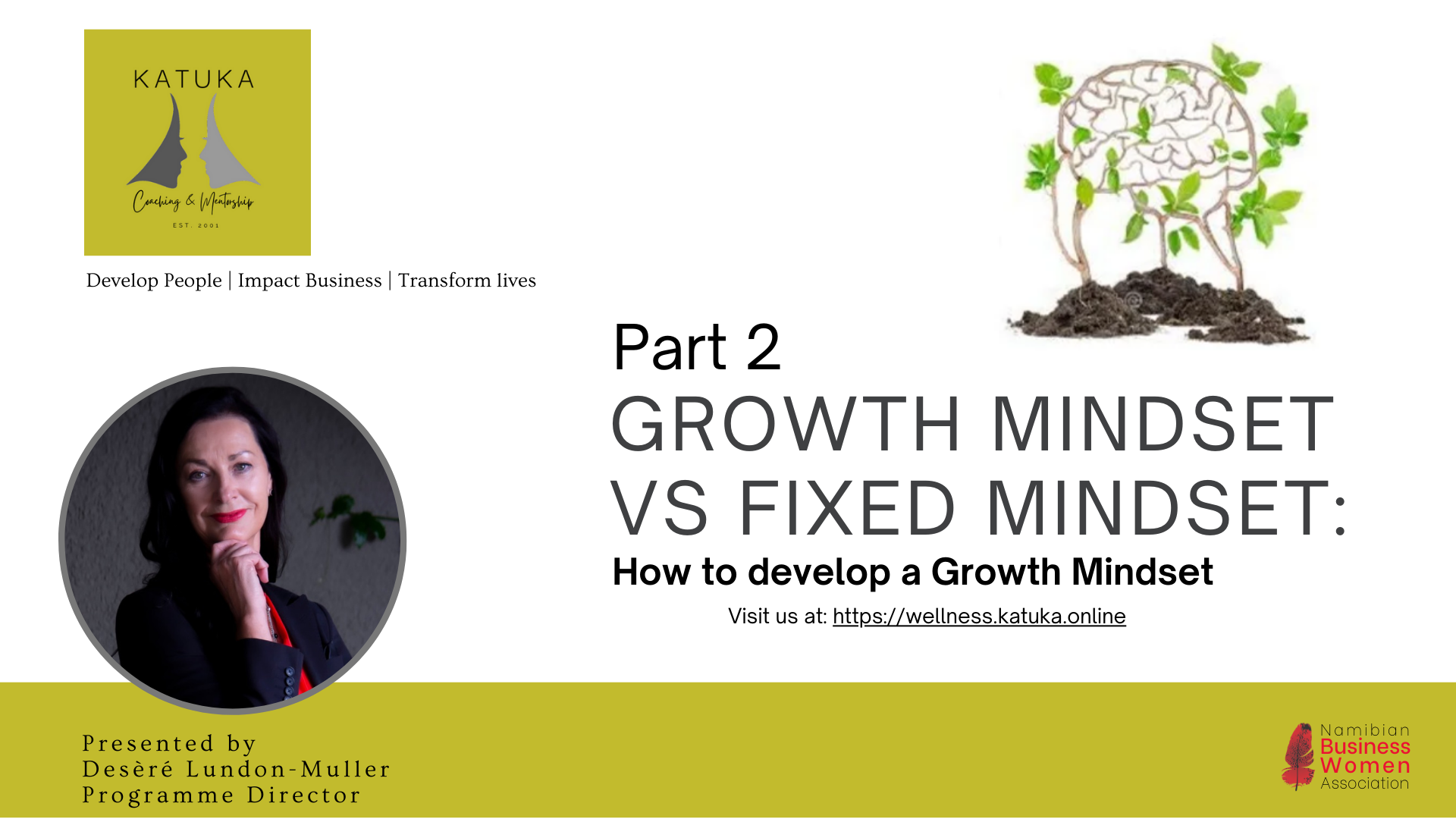 Video: Growth Mindset vs Fixed Mindset Part 2